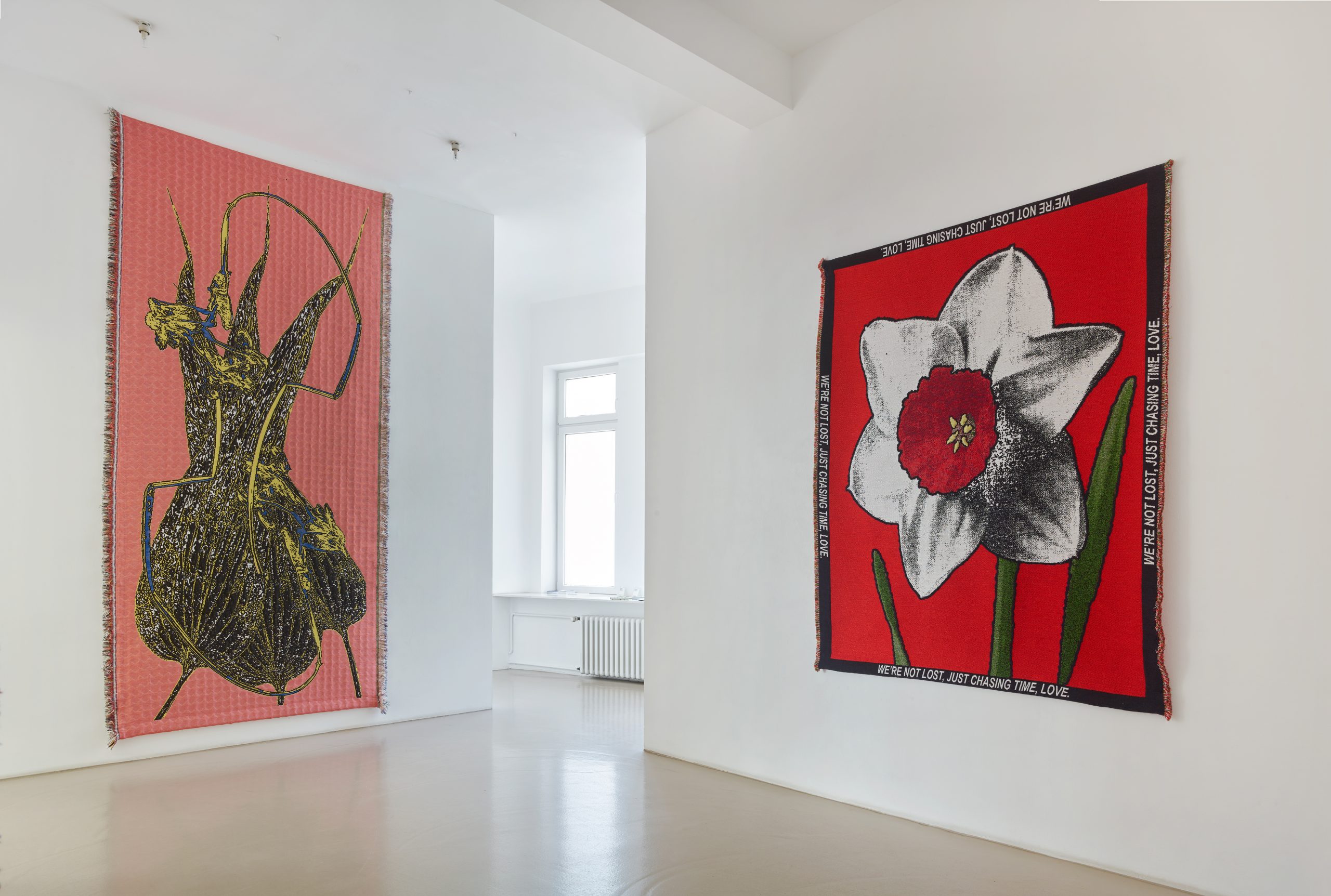© Thomas Renwart, Daffodils, 2023, Rehbein